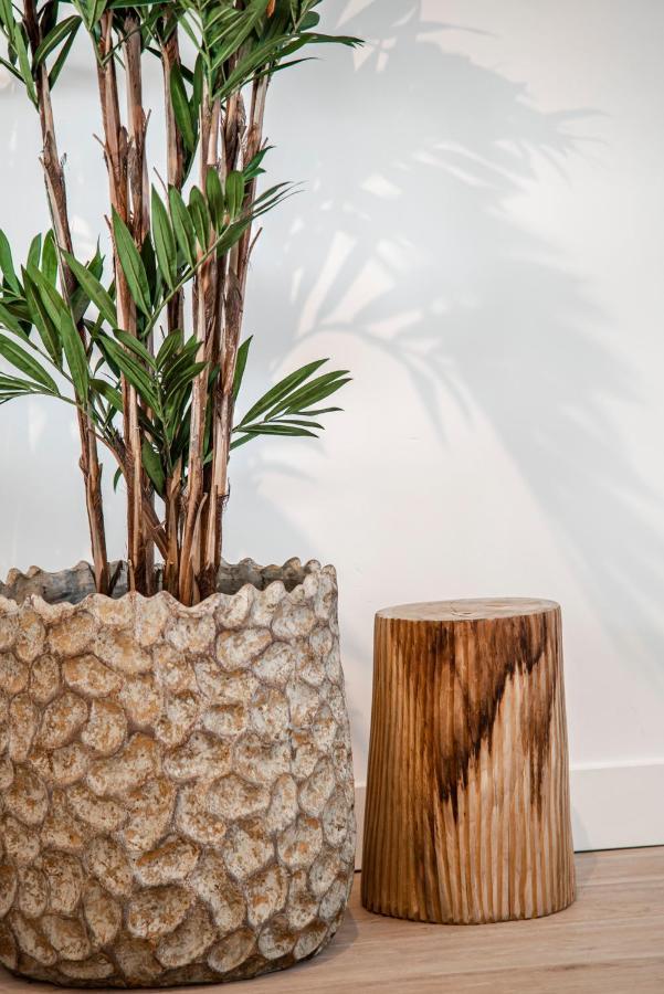 Yucca Beachhouse Zandvoort Kültér fotó
